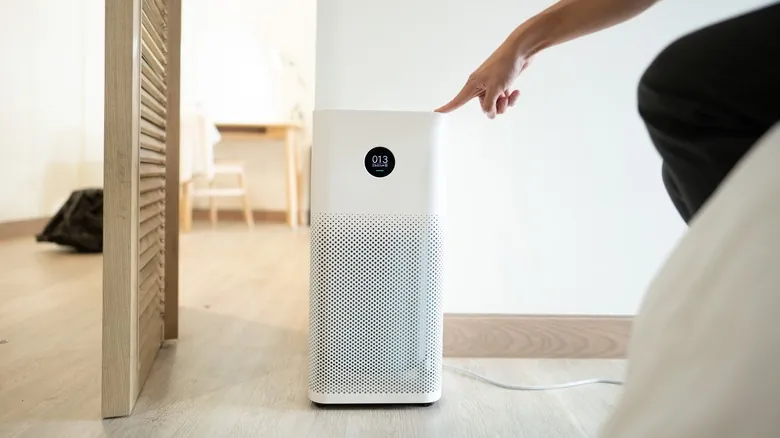 Purificadores de Aire y Olores: ¿Pueden Realmente Eliminar los Malos Aromas en tu Hogar?