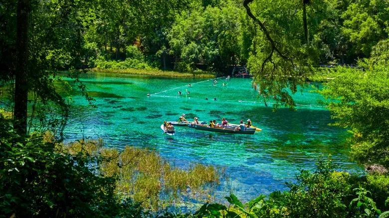 Rainbow Springs: Un Tesoro Natural de Florida con Aguas Cristalinas