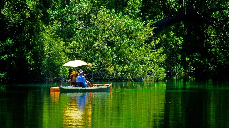 Rainbow Springs: Un Tesoro Natural de Florida con Aguas Cristalinas
