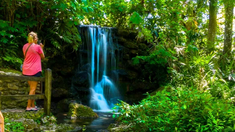 Rainbow Springs: Un Tesoro Natural de Florida con Aguas Cristalinas