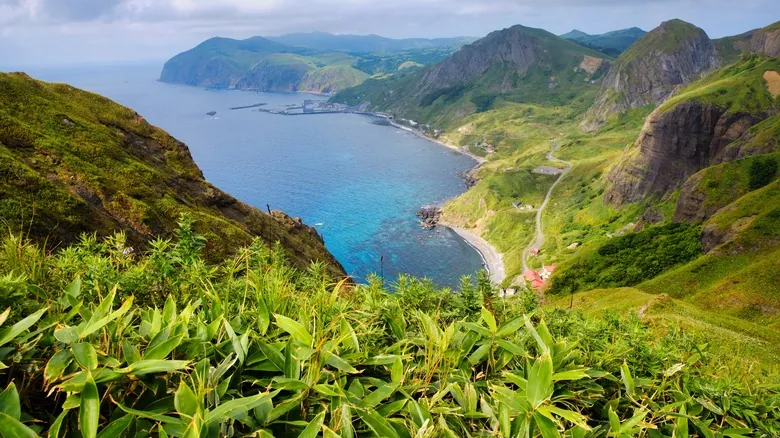 Rebun: La Isla Flotante de Flores Alpinas Únicas en Japón
