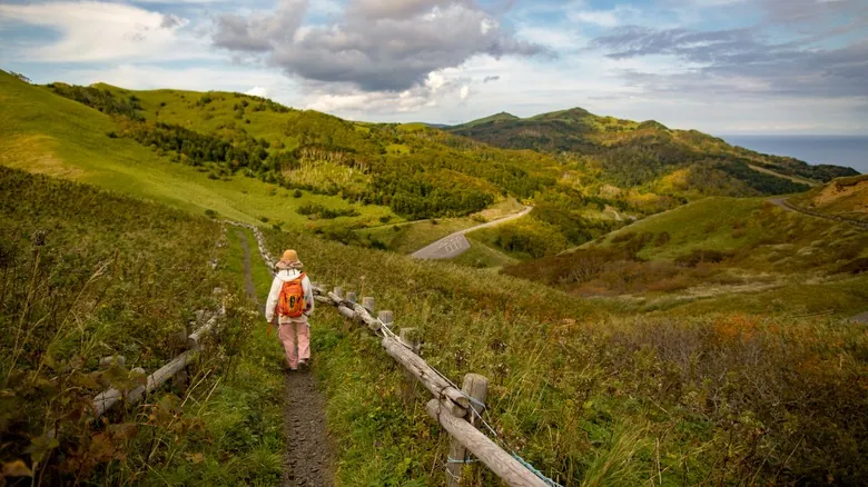 Rebun: La Isla Flotante de Flores Alpinas Únicas en Japón
