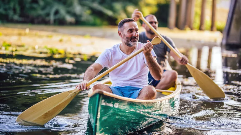 Redescubre la Magia del Verano: Campamentos para Adultos que Revitalizan el Espíritu