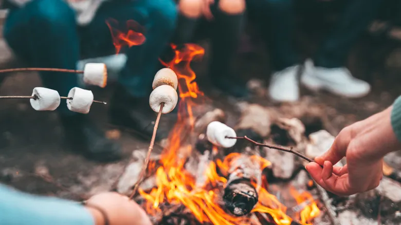 Redescubre la Magia del Verano: Campamentos para Adultos que Revitalizan el Espíritu