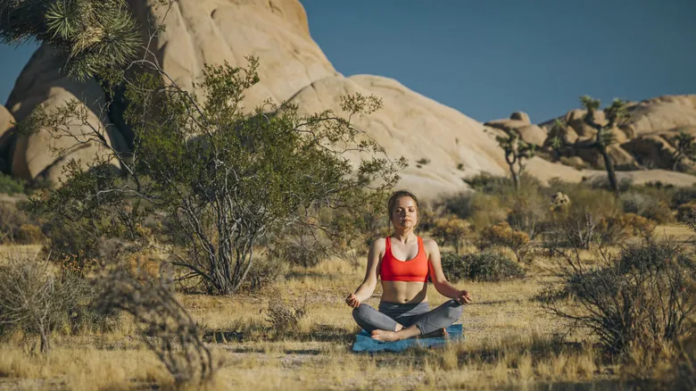Resiliencia Mental en la Naturaleza: El Factor Olvidado para Aventuras Seguras