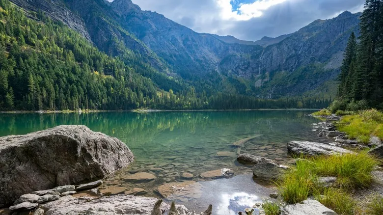 Sendero Lago Avalanche: La Aventura Familiar y Accesible en el Parque Nacional Glacier