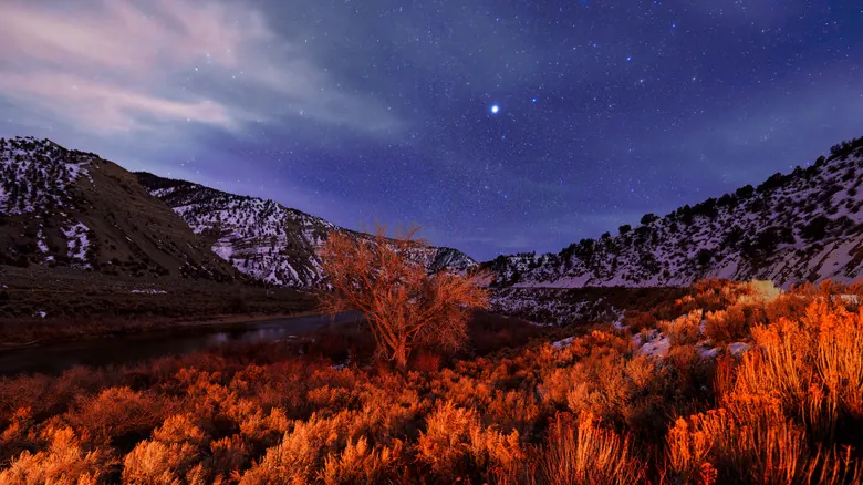 Sirio vs. Polaris: Desvelando el Misterio de la Estrella Más Brillante del Cielo Nocturno y su Guía Invaluable