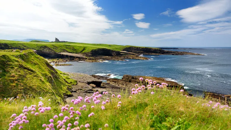 Sligo, Irlanda: Descubre la Joya Escondida de la Costa Salvaje Atlántica
