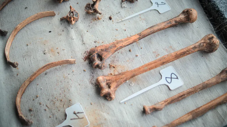Sverresborg: Cómo la Ciencia Confirmó una Antigua Leyenda Nórdica