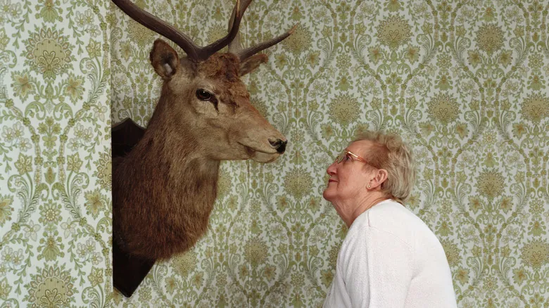Taxidermia en el Hogar: Guía para Integrar Cabezas de Venado con Elegancia y Sin Prejuicios