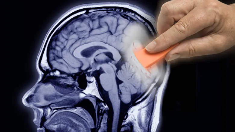 Transformando Recuerdos: El Rol Esencial del Sueño en la Salud Mental y la Neurociencia