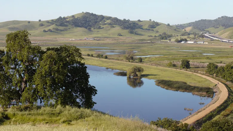 Vacaville: La Joya Escondida para tu 'Road Trip' Definitivo por California
