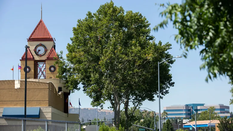 Vacaville: La Joya Escondida para tu 'Road Trip' Definitivo por California