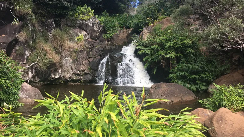 Waialua Sugar Mill: Un Oasis de Autenticidad y Cultura Local en la Costa Norte de Oahu