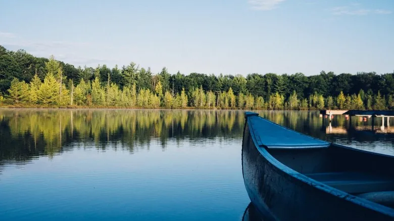 Waitts Lake RV Resort: Tu Escape Natural Perfecto en el Estado de Washington