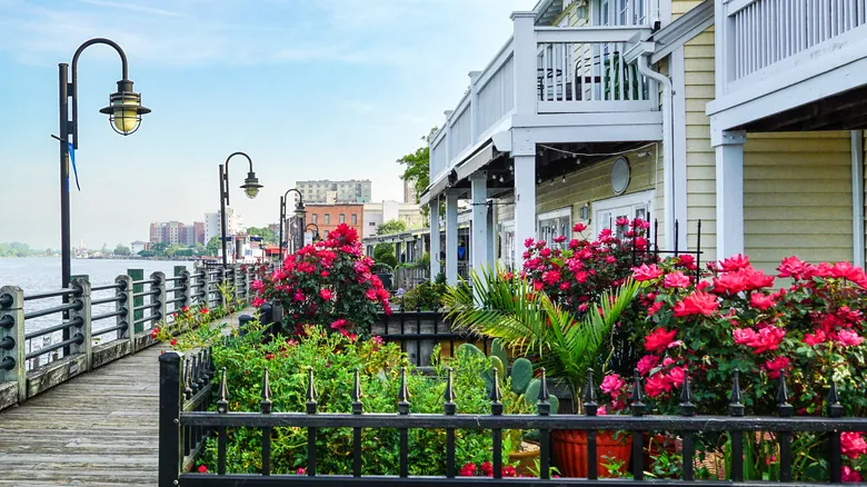 Wilmington, Carolina del Norte: Guía Definitiva de Playas, Historia y Encanto Costero